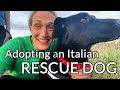 Why I adopted a dog in Italy