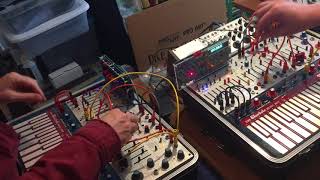 Buchla CVT Twenty-Two