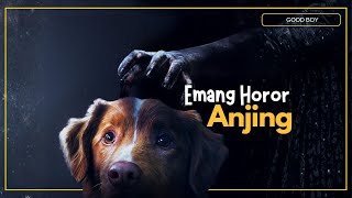 Review GOOD BOY 🫵😣 TERLALU ANJING UNTUK HOROR ANJING