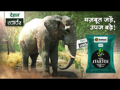 Brand film for Dehaat, Mazboot jadein, upaj badhe!