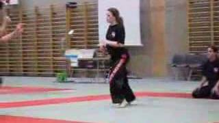 Swiss Bujutsu Raw