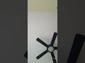 Dios te Puso en mi camino 