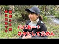 ある日消えたパパからYouTube見たよ！と連絡がきた in 屋久島