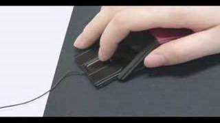 Sexy Transform Mouse