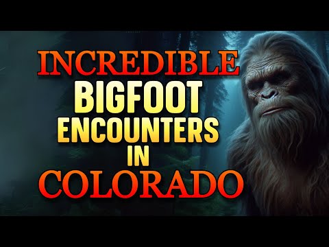 INCREDIBLE BIGFOOT ENCOUNTERS IN COLORADO