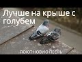 🕊️ Лучше жить в углу на кровле, нежели 🕊️ | Весёлая Мессианская Песня 🎶