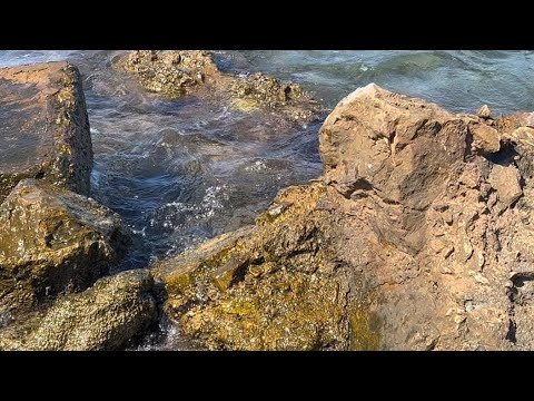 Делюсь хорошим настроением!