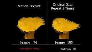 SIGGRAPH 2008 Controllable Motion Textures