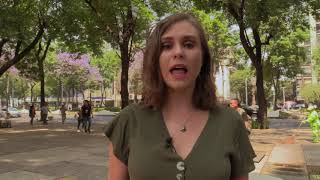 Mexico's soft approach against Coronavirus screenshot 4