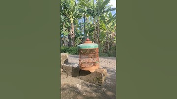 Perkutut kantong semar gacor