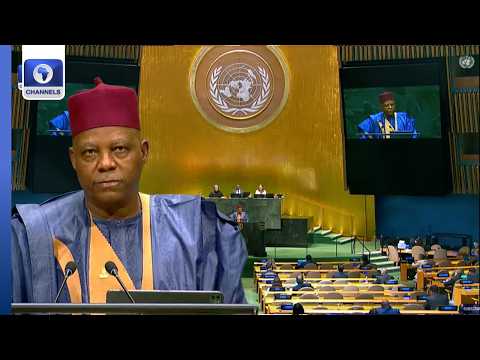 ‘UN Reforms Must Begin With Reconstitution Of Security Council,’ Nigeria Calls For African Represent