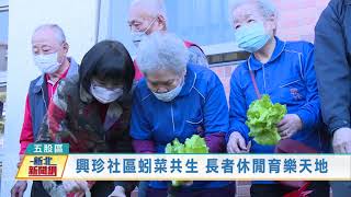 1100127興珍蚓菜共生 長者休閒育樂天地