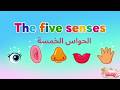 أنشودة الحواس الخمسة