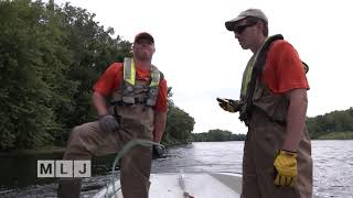 Invasive Species Threatens Lake Champlain: The Hunt for Round Goby