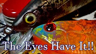 Tips N Tricks: The Eyes Have It!
