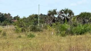# 255674285326 PLOT FOR SALE IN KIGAMBONI MWASONGA 12M MINISTRY TITLE DEED LARGE AREA 1184 SQM