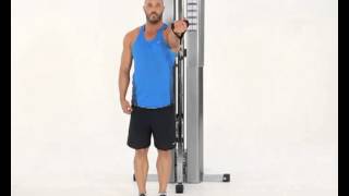 Standing Cable Front Raises Underhand Grip