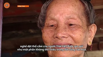 [TIẾNG THÁI] GIỮ GÌN NGHỀ DỆT THỔ CẨM TRANG PHỤC DÂN TỘC THÁI | VTV5