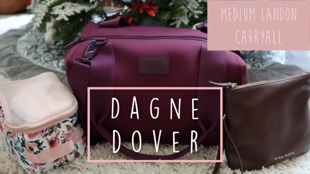 WHAT'S IN MY BAG  DAGNE DOVER LANDON CARRYALL💕 