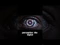 What Happens When You Look Through God?