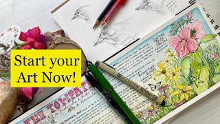 Best Art Supplies For Drawing In Your Nature Journal