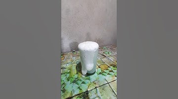 science easy experiment || simple experiment || #shorts #viral #trending #m4tech #e_bull_jet #yt