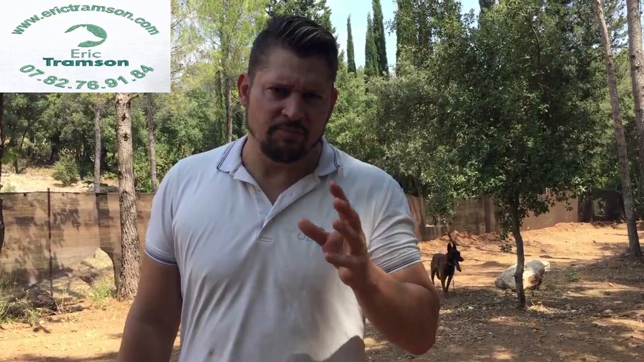 POURQUOI MON CHIEN EST STRESSE/HYPER ACTIF/ERIC TRAMSON/DRESSEUR CHIEN - YouTube