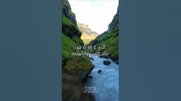 تلاوة من سورة الحشر- عصام حمود