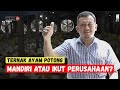 Bagaimanakah Peluang Usaha Budidaya Unggas Pedaging Di Indonesia