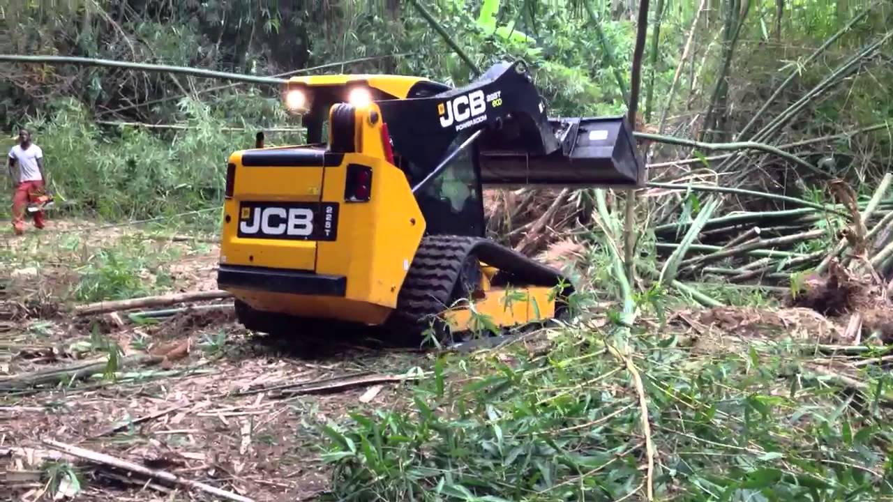 JCB 225T Clearing Bamboo YouTube