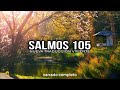 SALMOS 105 (narrado completo)NTV @reflexconvicentearcilalope5407 #biblia #salmos #parati #fé #dios