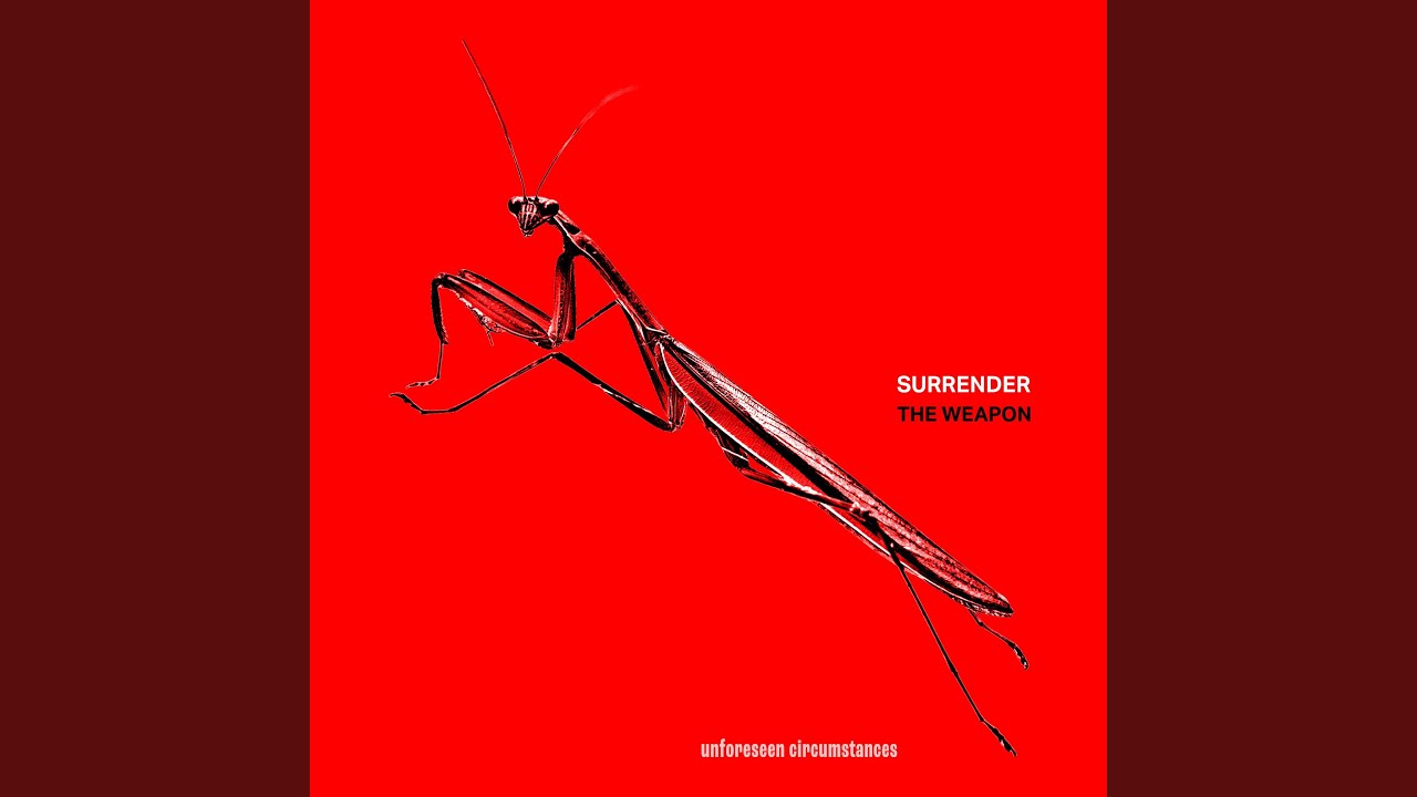 Guarda Counterfeit su YouTube Guarda Counterfeit su YouTube