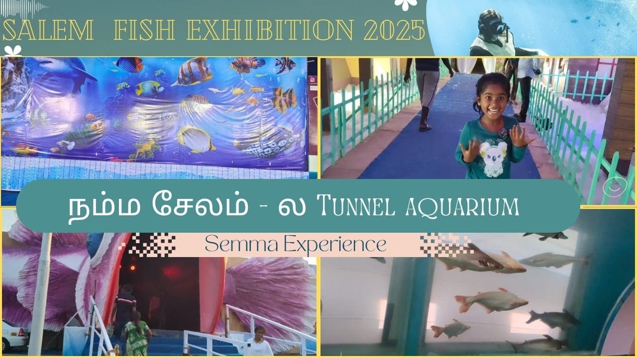 SALEM Mermaid and Under Water Tunnel Exhibition 2025 in the time of Summer Vacation 