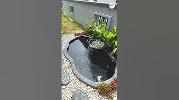 Installed Fish Pond for a client house in Klang Valley | Konzept Garden