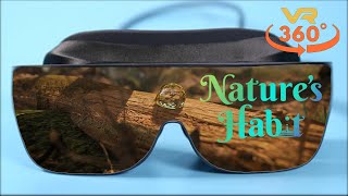 Nature's Habit 360° 4K screenshot 5