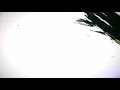 الملا علي حسن الصفراني 