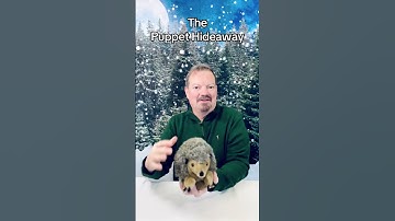 Puppet of the Day – Hedgehog made by Folkmanis Puppets– The Puppet Hideaway with Eric Thomsen
