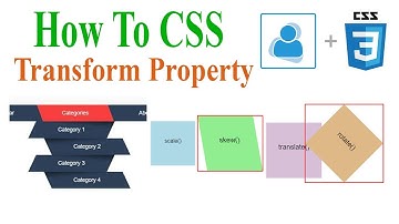 Css Transform Property | CSS transition, hover,translate property, rotate, scale, skew functions 🔥
