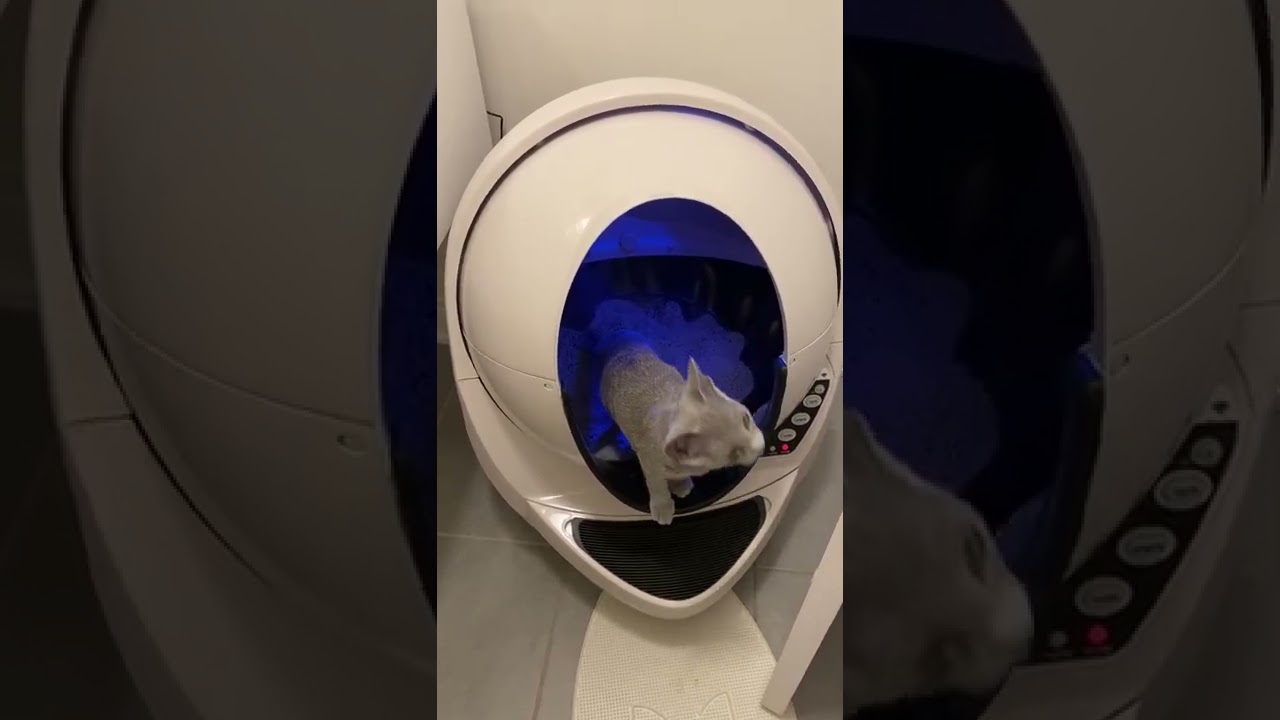 Litter Robot   Using for a first time 💙