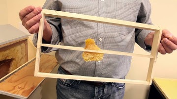 The Middle Bar Frame