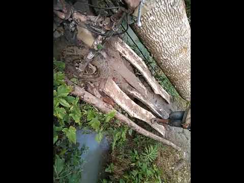 kekuatan,derek,dewa,di Medan tempur,kitri