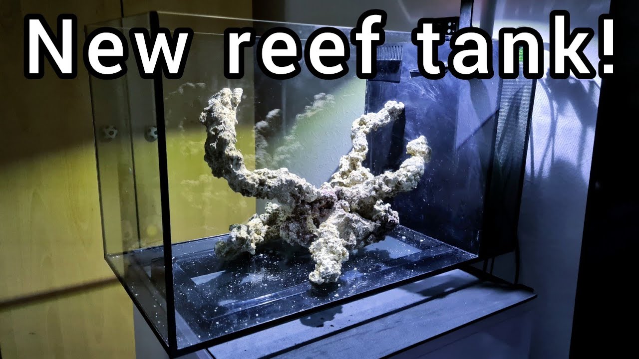 Fluval evo 13.5 has returned...?