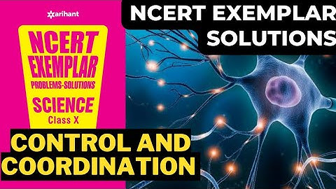 NCERT EXEMPLAR SOLUTION CONTROL AND COORDINATION | CBSE CLASS X SCIENCE |#exemplar