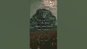 سورة النازعات بصوت عذب للقارئ إسلام صبحي