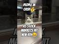 🤣People in Cash💰 Waiting For Corrections As Stock Markets Hit New ATH😆 Semis IPO Chips AI Memes LOL