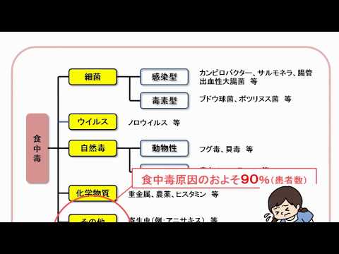 ＜平成28年11月作成＞動画「食中毒のリスクについて」（2:46）