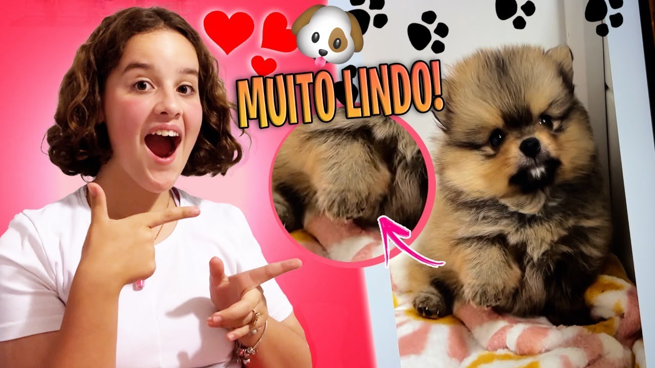 NOVIDADES DO MEU CACHORRINHO NOVO!!