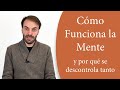 Cómo funciona la mente (y por qué se descontrola tanto)