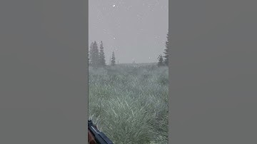 I killed him, but ZOMBIES got me ! #dayz #pvp #survival