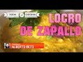 LOCRO DE ZAPALLO